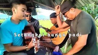 Setangkai bunga padi cover junior Dompu