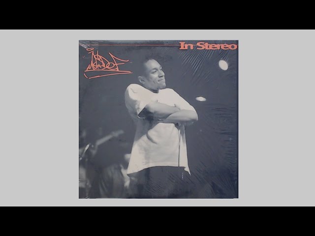 名盤レアLP MOS DUB レコードMos Def Rawkus Mos Def Black on Both Sides Gold Sales Plaque (Rawkus Records