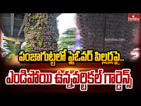 పంజాగుట్టలో ఫ్లైఓవర్ పిల్లర్లపై.. ఎండిపోయి ఉన్నవర్టికల్ గార్డెన్స్..| Panjagutta Flyover Pillars - HMTVNEWS