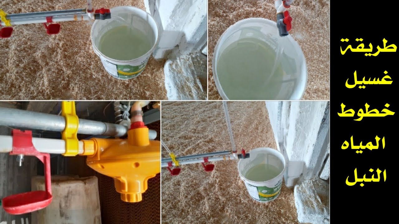 اسهل طريقة لغسيل مواسير المياه اوخطوط الماء النبل للفراخ في المزرعه بدون تعب