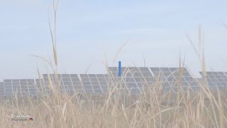 Is Texas a renewable energy leader?