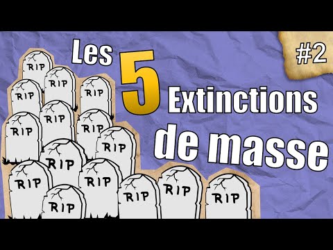 Vidéo: L'étude A Confirmé Une Extinction De Masse Aux Pôles De La Terre - Vue Alternative