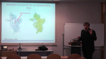 A three dimensional bridge between Computer Science and Biology - Prof. Dr. Patrice Koehl - 3.3.2015