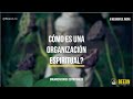 CÓMO ES UNA ORGANIZACIÓN ESPIRITUAL?-Organizaciones Espirituales-Episodio 3