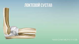 Локтевой сустав (самое наглядное объяснение)