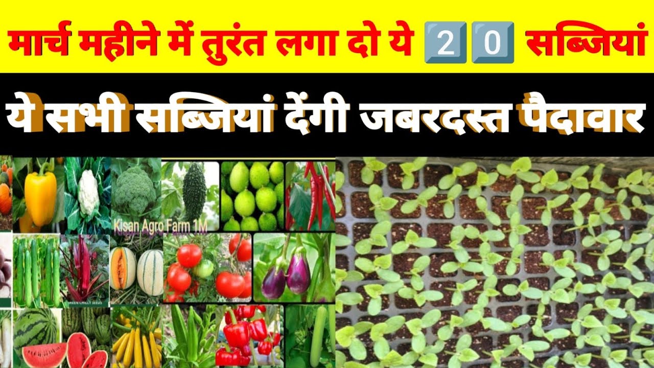 मार्च महीने में तुरंत लगा दो ये 20 सब्जियां । सभी सब्जियां देंगी जबरदस्त पैदावार।#farming#gardening 
