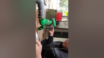 Cách làm tắc kè ngâm rượu bô thân tráng dương