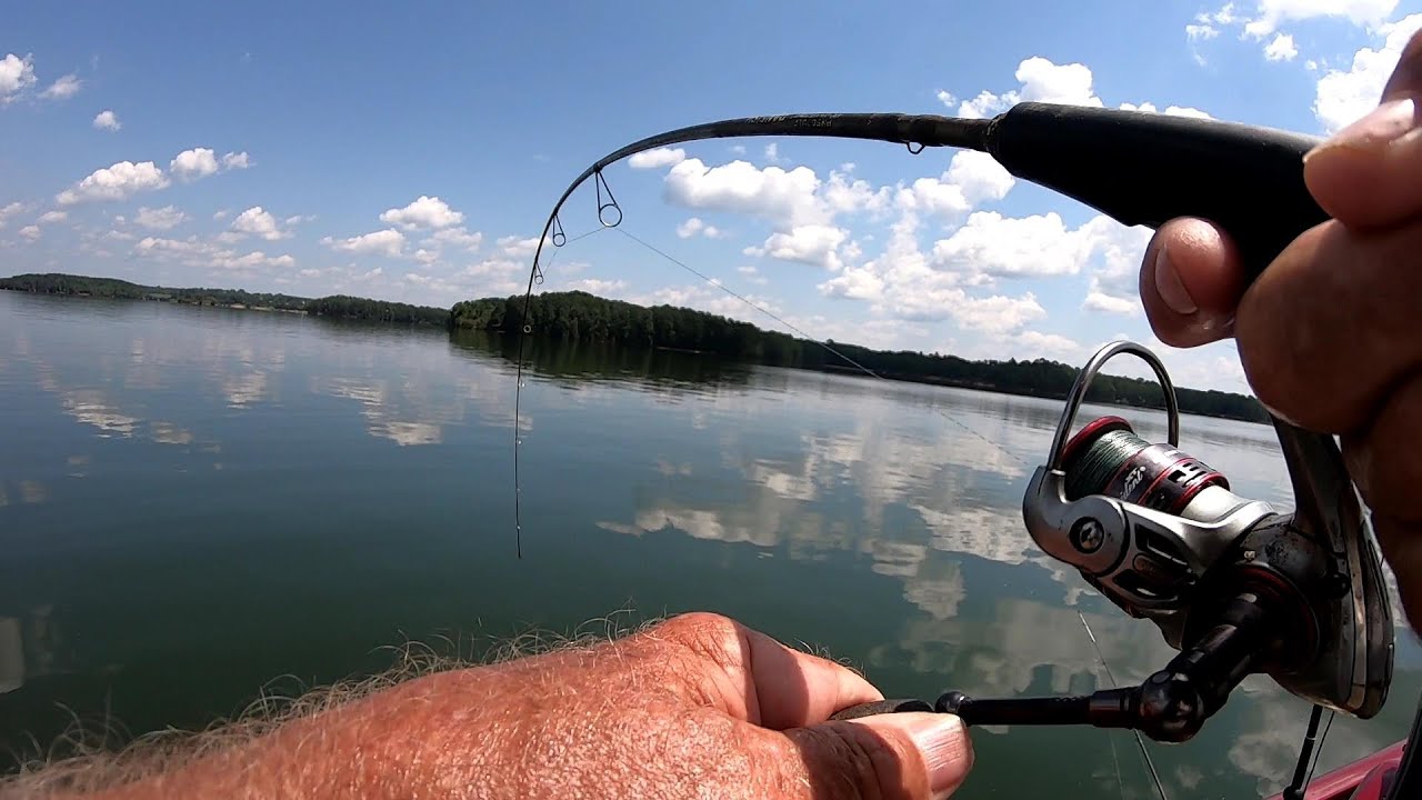 White Perch, How To Make Them Bite 