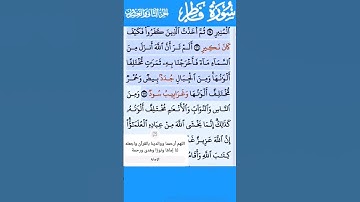 تلاوة خاشعة سورة فاطر الاية 27