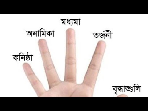 ভিডিও: একটি বাগদানের রিং কীভাবে চয়ন করবেন