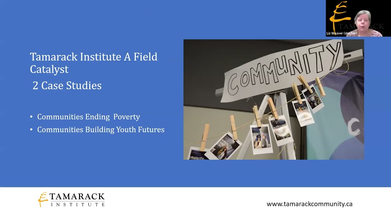 Wasan session: Field Catalysts with Liz Weaver from Tamarack Institute (February 2022)