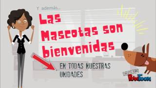 TRASLADOS AL AEROPUERTO EZEIZA AEROPARQUE ARGENTINA screenshot 4