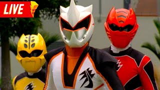 Download Lagu Power Rangers Jungle Fury Full Season | Episodes 1-38 | 🔴 LIVE 24/7 | Power Rangers Official MP3