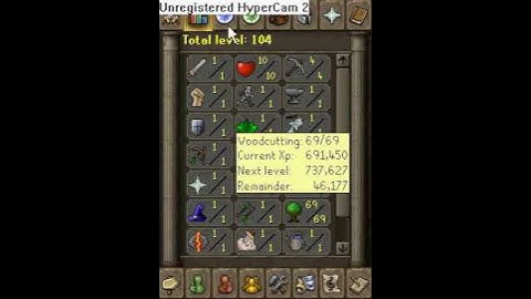 LEVEL 3 RSBOT WC LEVEL :)