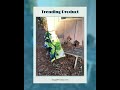 Green Bird Towel: Kaleidoscope Leaves, Nature Lover Gift