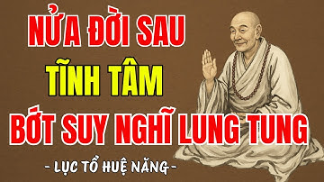 LỤC TỔ HUỆ NĂNG - Nửa đời sau học cách tĩnh tâm bớt suy nghĩ lung tung, nên nghe 1 lần trong đời ?