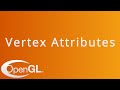 Vertex Attributes and Layouts in OpenGL