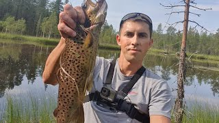 видео: Пешком до водопада в поисках кумжи,это Карелия. картинка: Пешком до водопада в поисках кумжи,это Карелия.