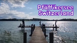 Pfäffikersee:Beautiful Lake In Pfäffikon Switzerland