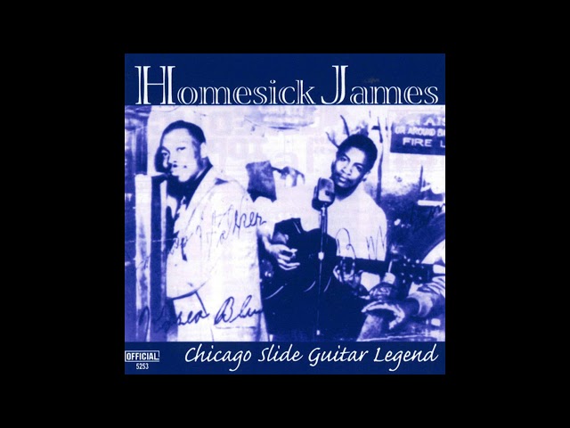 Homesick James - Shake Your Money Maker class=