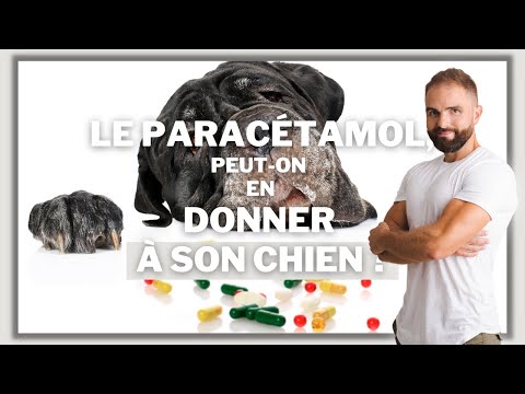 Vidéo: Donner de l'aspirine à votre chien