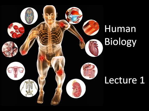 Human Biology Lecture 1, Part 1 An Introduction To The Class