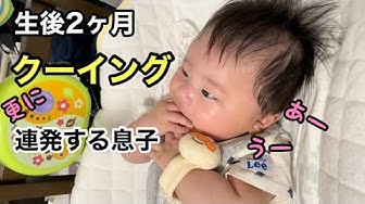 クーイング Youtube