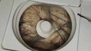 2000 Hotpoint Washer 'Normal' Cycle washing a comforter