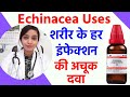 echinacea angustifolia | echinacea mother tincture | echinacea uses & symptoms