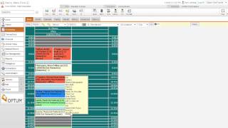 Optum PM Demo