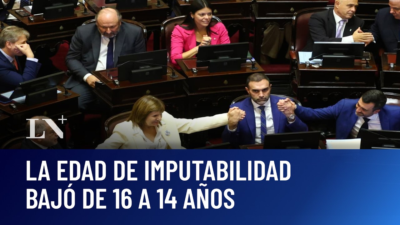 Votación histórica en el Senado: la edad de imputabilidad bajó de 16 a 14 años