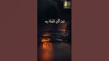 #القران_الكريم #فارس_عباد #من_سورة_الإسراء أَقِمِ الصَّلَاةَ لِدُلُوكِ الشَّمْسِ   (الإسراء:78)