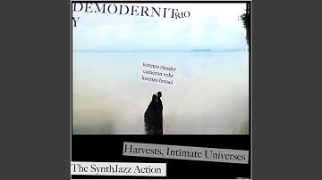 Release past present cause correlation timelines collapsing into decentralised forgiveness