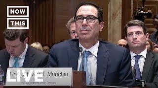 Steve Mnuchin Testifies Before Senate Subcommittee | NowThis