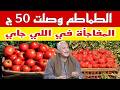 ارتفاع غير طبيعي الطماطم وصلت 50 جنيه والمفاجأة في اللي جاي ونقيب الفلاحين يكشف التفاصيل ارتفاع غير طبيعي الطماطم وصلت 50 جنيه والمفاجأة في اللي جاي ونقيب الفلاحين يكشف التفاصيل
