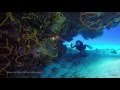 Underwater Kinetics UK C4 and C8 eLED (L2)