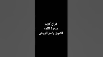 سورة الزمر الشيخ ياسر  الزيلعي 💘💘💘💘