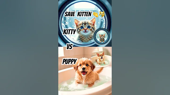 Video 11148061: rescued tiny kitten, kitten rescue cute, bathtub kitten, cute kitten washing, cute little kitten