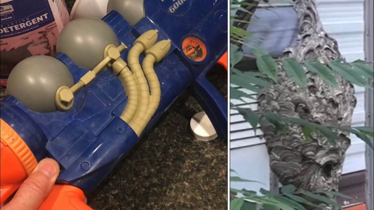 spraying a NEST with a “super soaker” (didn’t work well) white