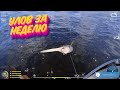 Морской троллинг #1, Русская Рыбалка 4 / Russian Fishing 4 #rf4 #рр4