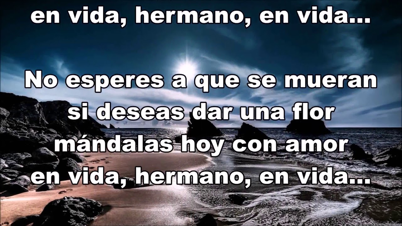 EN VIDA HERMANO EN VIDA. REFLECCION - YouTube