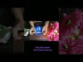 Easy DIY planter with waste container.