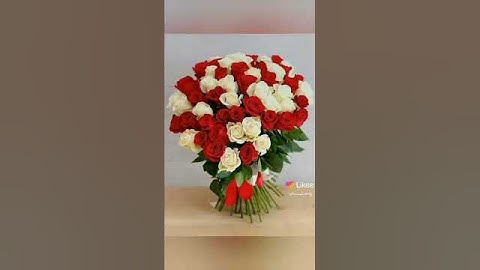 حديث عن سجدة التلاوة