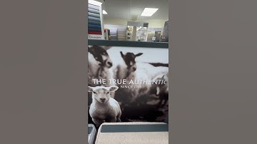 Axminster carpet song