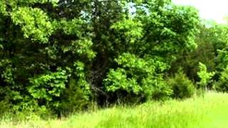 Homes For Sale  8960 Barrett Drive Dittmer Mo 63023