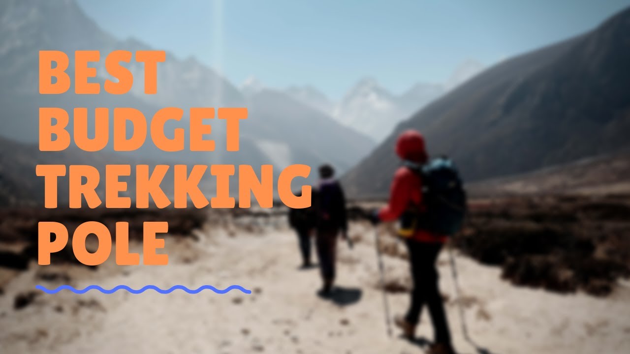 budget trekking pole