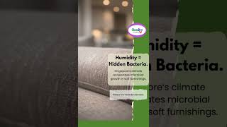 Humidity = Hidden Bacteria  #shorts