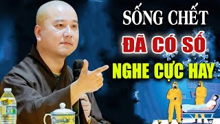 Sống Chết Đã Có Số, NGHIỆP Đến Không Ai Tránh Khỏi Được - Vấn Đáp Thầy Thích Pháp Hòa