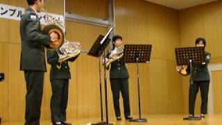 [20091128]陸上自衛隊りっくんランドx13「サウンド・オブ・ミュージック・メドレー〜アンサンブルコンサート〜」