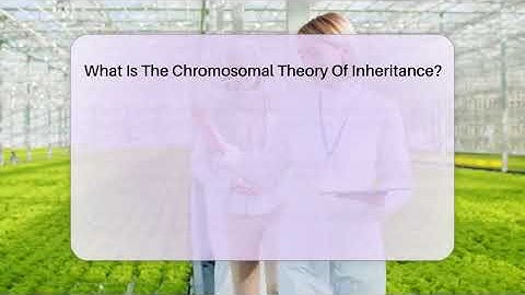 What Is The Chromosomal Theory Of Inheritance? - Science Through Time